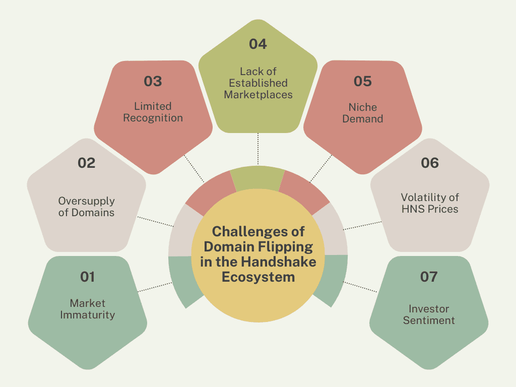 Challenges of Domain Flipping in the Handshake Ecosystem
